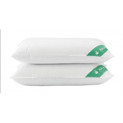 Beauty Home Μαξιλάρι ύπνου με Aloe Vera Art 4002 Μέτριο 50×70 Λευκό