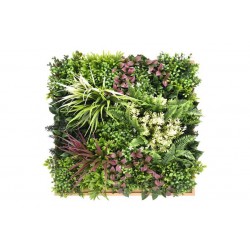 Κάθετος κήπος ArtGrass Κορνίζα 02 50x50cm