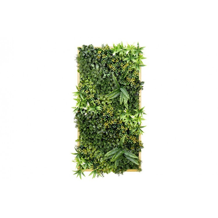 Κάθετος κήπος ArtGrass Κορνίζα 03 50x100cm Κάθετος κήπος ArtGrass Κορνίζα 03 50x100cm