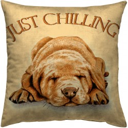 Vasiliadis Bros Μαξιλάρι διακοσμητικό 45x45 Στόφα Chilling