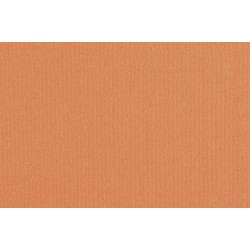 ΜΟΚΕΤΑ LILLY ΚΟΡΑΛΙ - ΝΙΚΟΤΕΧ (ΕΠΙΘΥΜΗΤΗΣ ΔΙΑΣΤΑΣΗΣ)