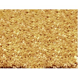 ΜΟΚΕΤΑ HAMILTON LATEX ΧΡΥΣΟ - ΝΙΚΟΤΕΧ (ΕΠΙΘΥΜΗΤΗΣ ΔΙΑΣΤΑΣΗΣ)