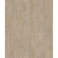 ΤΑΠΕΤΣΑΡΙΑ ΤΟΙΧΟΥ BRUT m764_08 1000x53cm