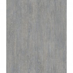 ΤΑΠΕΤΣΑΡΙΑ ΤΟΙΧΟΥ BRUT m764_09 1000x53cm