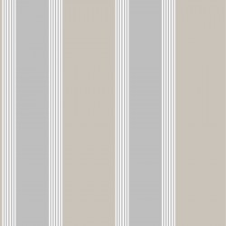 ΤΑΠΕΤΣΑΡΙΑ ΤΟΙΧΟΥ ΡΙΓΕ THEMA 28873 1005x53cm