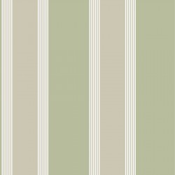 ΤΑΠΕΤΣΑΡΙΑ ΤΟΙΧΟΥ ΡΙΓΕ THEMA 28875 1005x53cm