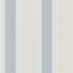 ΤΑΠΕΤΣΑΡΙΑ ΤΟΙΧΟΥ ΡΙΓΕ THEMA 28876 1005x53cm