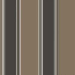 ΤΑΠΕΤΣΑΡΙΑ ΤΟΙΧΟΥ ΡΙΓΕ THEMA 28877 1005x53cm