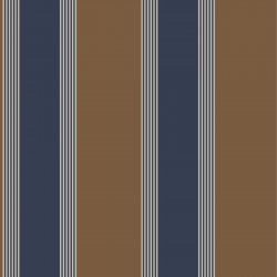 ΤΑΠΕΤΣΑΡΙΑ ΤΟΙΧΟΥ ΡΙΓΕ THEMA 28879 1005x53cm