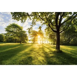 ΦΩΤΟΤΑΠΕΤΣΑΡΙΑ ΤΟΙΧΟΥ COLOURS 8-743 368x254