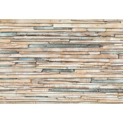 ΦΩΤΟΤΑΠΕΤΣΑΡΙΑ ΤΟΙΧΟΥ COLOURS 8-920 368x254