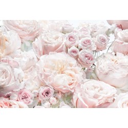 ΦΩΤΟΤΑΠΕΤΣΑΡΙΑ ΤΟΙΧΟΥ COLOURS 8-976 368x254