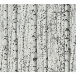 ΤΑΠΕΤΣΑΡΙΑ ΤΟΙΧΟΥ PINT WALLS AS387191 1000x53cm