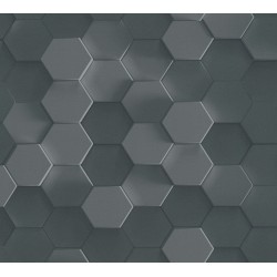 ΤΑΠΕΤΣΑΡΙΑ ΤΟΙΧΟΥ PINT WALLS AS387233 1000x53cm