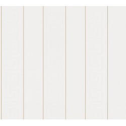 ΤΑΠΕΤΣΑΡΙΑ ΤΟΙΧΟΥ VERSACE 5 AS935241 1000x70cm