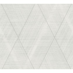 ΤΑΠΕΤΣΑΡΙΑ ΤΟΙΧΟΥ BATTLE OF STYLE AS388243 1000x53cm