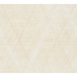 ΤΑΠΕΤΣΑΡΙΑ ΤΟΙΧΟΥ BATTLE OF STYLE AS388244 1000x53cm