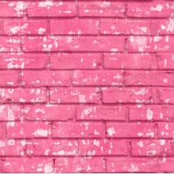 ΤΑΠΕΤΣΑΡΙΑ ΤΟΙΧΟΥ FRIENDS & COFFEE 16661 1000x53cm