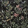 ΦΩΤΟΤΑΠΕΤΣΑΡΙΑ ΤΟΙΧΟΥ LE JARDIN ljx4-014 200x250 ΦΩΤΟΤΑΠΕΤΣΑΡΙΑ ΤΟΙΧΟΥ LE JARDIN ljx4-014 200x250