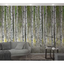 ΦΩΤΟΤΑΠΕΤΣΑΡΙΑ 'SMART ART EASY' 47220 1.59x2.70m ΦΩΤΟΤΑΠΕΤΣΑΡΙΑ 'SMART ART EASY' 47220 1.59x2.70m