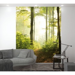 ΦΩΤΟΤΑΠΕΤΣΑΡΙΑ 'SMART ART EASY' 47221 2.12x2.70m ΦΩΤΟΤΑΠΕΤΣΑΡΙΑ 'SMART ART EASY' 47221 2.12x2.70m