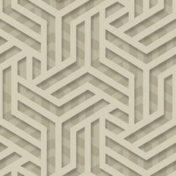 ΤΑΠΕΤΣΑΡΙΑ ΤΟΙΧΟΥ 3D ONYX M350-02 1000x53cm