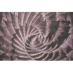 ΦΩΤΟΤΑΠΕΤΣΑΡΙΑ DIMEX21 ms_5_0352_dim 375x250cm