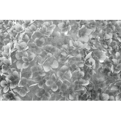 ΦΩΤΟΤΑΠΕΤΣΑΡΙΑ DIMEX21 ms_5_0356_dim 375x250cm