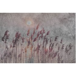 ΦΩΤΟΤΑΠΕΤΣΑΡΙΑ DIMEX21 ms_5_0358_dim 375x250cm