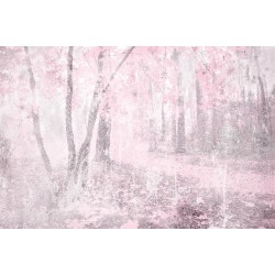 ΦΩΤΟΤΑΠΕΤΣΑΡΙΑ DIMEX21 ms_5_0364_dim 375x250cm