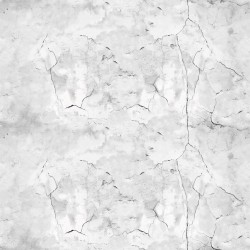 ΤΑΠΕΤΣΑΡΙΑ ΤΟΙΧΟΥ DIMEX21 160_01_dim  1000x75cm