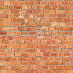 ΤΑΠΕΤΣΑΡΙΑ ΤΟΙΧΟΥ DIMEX21 162_01_dim Τούβλα 1000x75cm