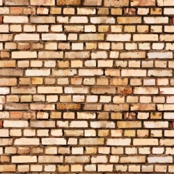 ΤΑΠΕΤΣΑΡΙΑ ΤΟΙΧΟΥ DIMEX21 163_01_dim Τούβλα 1000x75cm