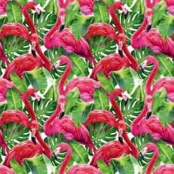 ΤΑΠΕΤΣΑΡΙΑ ΤΟΙΧΟΥ DIMEX21 171_01_dim 1000x75cm