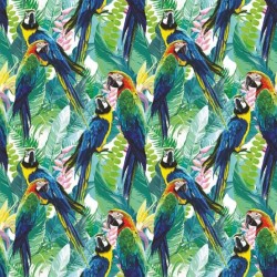 ΤΑΠΕΤΣΑΡΙΑ ΤΟΙΧΟΥ DIMEX21 172_01_dim 1000x75cm