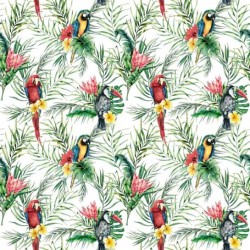 ΤΑΠΕΤΣΑΡΙΑ ΤΟΙΧΟΥ DIMEX21 174_01_dim 1000x75cm