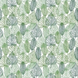 ΤΑΠΕΤΣΑΡΙΑ ΤΟΙΧΟΥ DIMEX21 186_01_dim 1000x75cm