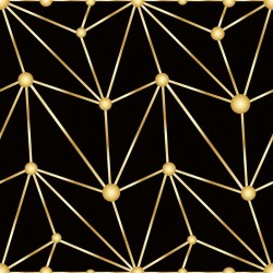 ΤΑΠΕΤΣΑΡΙΑ ΤΟΙΧΟΥ DIMEX21 198_01_dim 1000x75cm