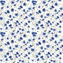 ΤΑΠΕΤΣΑΡΙΑ ΤΟΙΧΟΥ DIMEX21 202_01_dim 1000x75cm