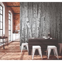 ΦΩΤΟΤΑΠΕΤΣΑΡΙΑ Metropolitan Stories The Wall AS382591 3.71x2.80m