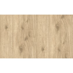 ΤΑΠΕΤΣΑΡΙΑ ΤΟΙΧΟΥ ELEMENTS ΞΥΛΟ 300434 1000x53cm