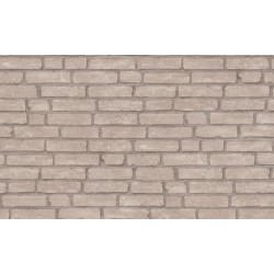 ΤΑΠΕΤΣΑΡΙΑ ΤΟΙΧΟΥ ELEMENTS ΤΟΥΒΛΟ 377473 1000x53cm