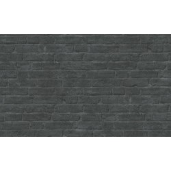 ΤΑΠΕΤΣΑΡΙΑ ΤΟΙΧΟΥ ELEMENTS ΤΟΥΒΛΟ 377475 1000x53cm