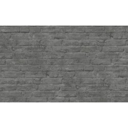 ΤΑΠΕΤΣΑΡΙΑ ΤΟΙΧΟΥ ELEMENTS ΤΟΥΒΛΟ 377476 1000x53cm