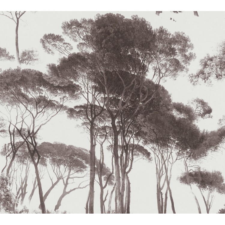 ΤΑΠΕΤΣΑΡΙΑ ΤΟΙΧΟΥ HISTORY OF ART 376511 1005x53cm ΤΑΠΕΤΣΑΡΙΑ ΤΟΙΧΟΥ HISTORY OF ART 376511 1005x53cm