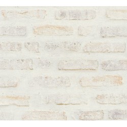 ΤΑΠΕΤΣΑΡΙΑ ΤΟΙΧΟΥ NEW WALLS 374221 1005x53cm