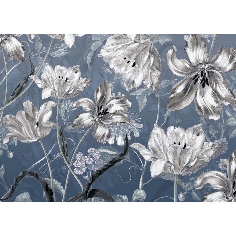 ΦΩΤΟΤΑΠΕΤΣΑΡΙΑ ΤΟΙΧΟΥ KOMAR X7-1041 MERIAN BLUE 350x250 ΦΩΤΟΤΑΠΕΤΣΑΡΙΑ ΤΟΙΧΟΥ KOMAR X7-1041 MERIAN BLUE 350x250