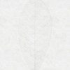 ΦΩΤΟΤΑΠΕΤΣΑΡΙΑ ΤΟΙΧΟΥ KOMAR R2-012 DECENT LEAF 200x280 ΦΩΤΟΤΑΠΕΤΣΑΡΙΑ ΤΟΙΧΟΥ KOMAR R2-012 DECENT LEAF 200x280