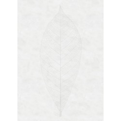 ΦΩΤΟΤΑΠΕΤΣΑΡΙΑ ΤΟΙΧΟΥ KOMAR R2-012 DECENT LEAF 200x280