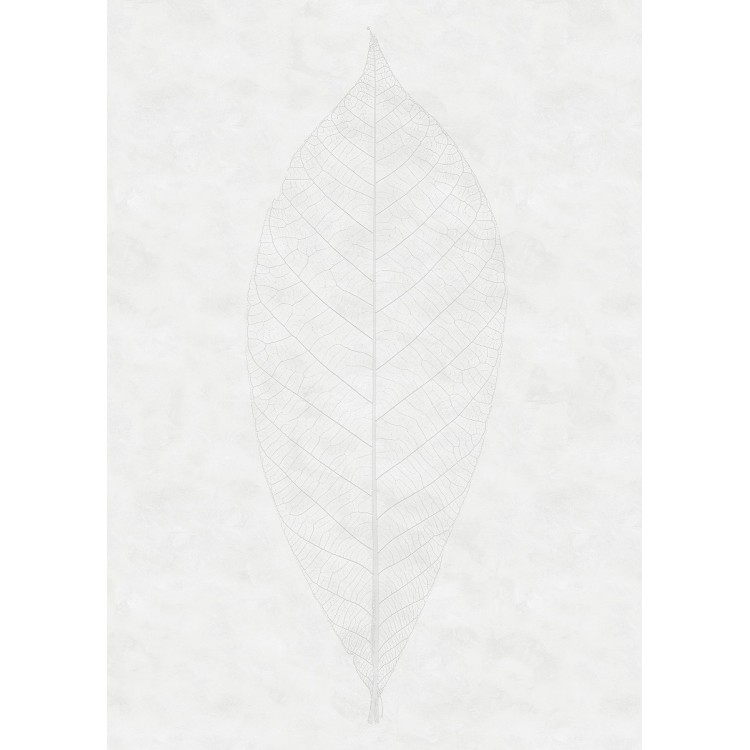 ΦΩΤΟΤΑΠΕΤΣΑΡΙΑ ΤΟΙΧΟΥ KOMAR R2-012 DECENT LEAF 200x280 ΦΩΤΟΤΑΠΕΤΣΑΡΙΑ ΤΟΙΧΟΥ KOMAR R2-012 DECENT LEAF 200x280